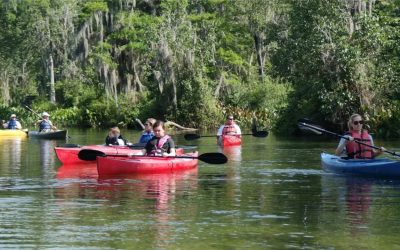 Discover the Magic of Paddling on the Wakulla River
