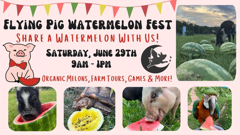 Flying Pig Watermelon Fest